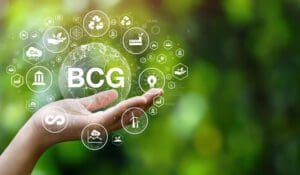 Entendendo a Matriz BCG Descubra o que é, seu funcionamento, importância e veja exemplos aplicáveis