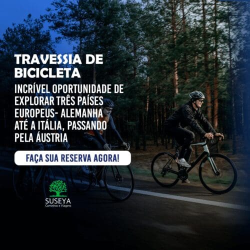 agencia de marketing para agencias de viagens, redes sociais, blog, site, logotipo, google ads e instagram e facebook ads 8