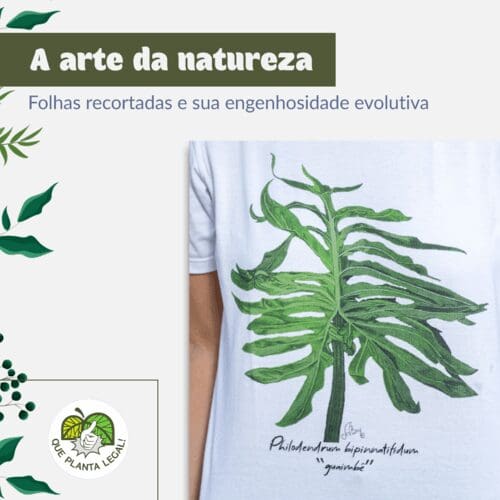 agencia de marketing para o agronegocio, redes socias, logotipo, site, blog, google ads, facebook ads e instagram 2