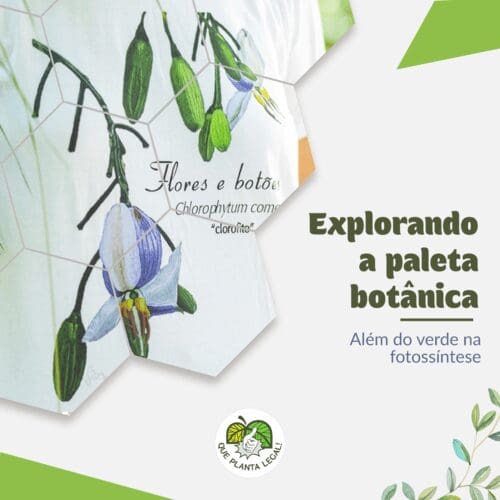 agencia de marketing para o agronegocio, redes socias, logotipo, site, blog, google ads, facebook ads e instagram