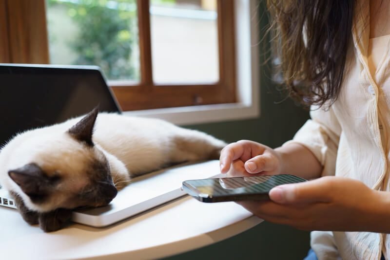 10 ideias para utilizar o e-mail marketing para veterinários