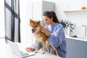 E-mail marketing para veterinários Importância e idéias