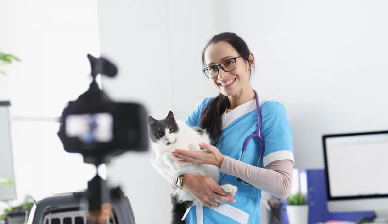 Como fazer um Instagram para veterinários