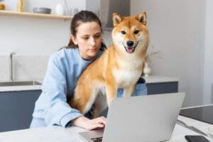 SEO para veterinários Conceito e motivos para investir