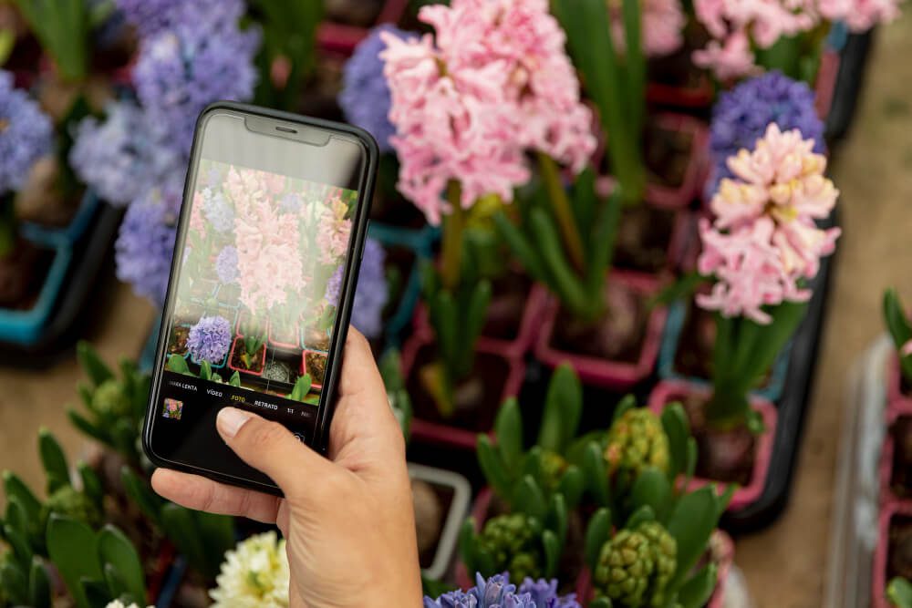 Instagram para floricultura 13 métodos de sucesso no seu comércio