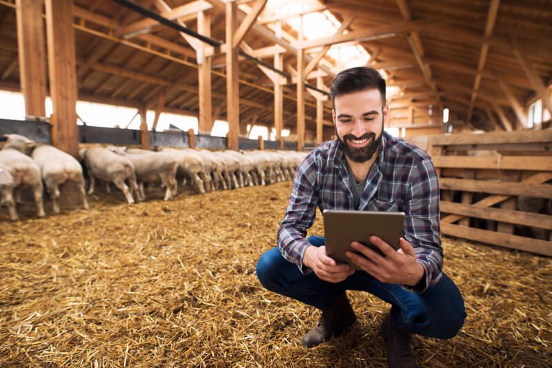 Invista em Publicidade Online Segmentada