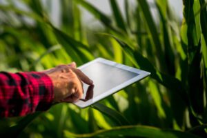 agencia de Marketing Digital para Empresas de Cultivo