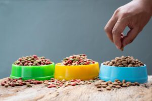 agencia de Marketing Digital para Empresas de Ração Animal